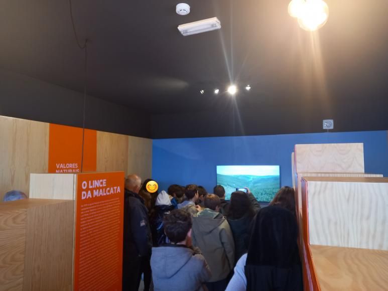 Dia Mundial da Vida Selvagem