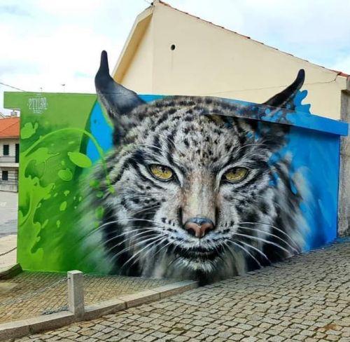 Lince Ib&eacute;rico - Arte Urbana
